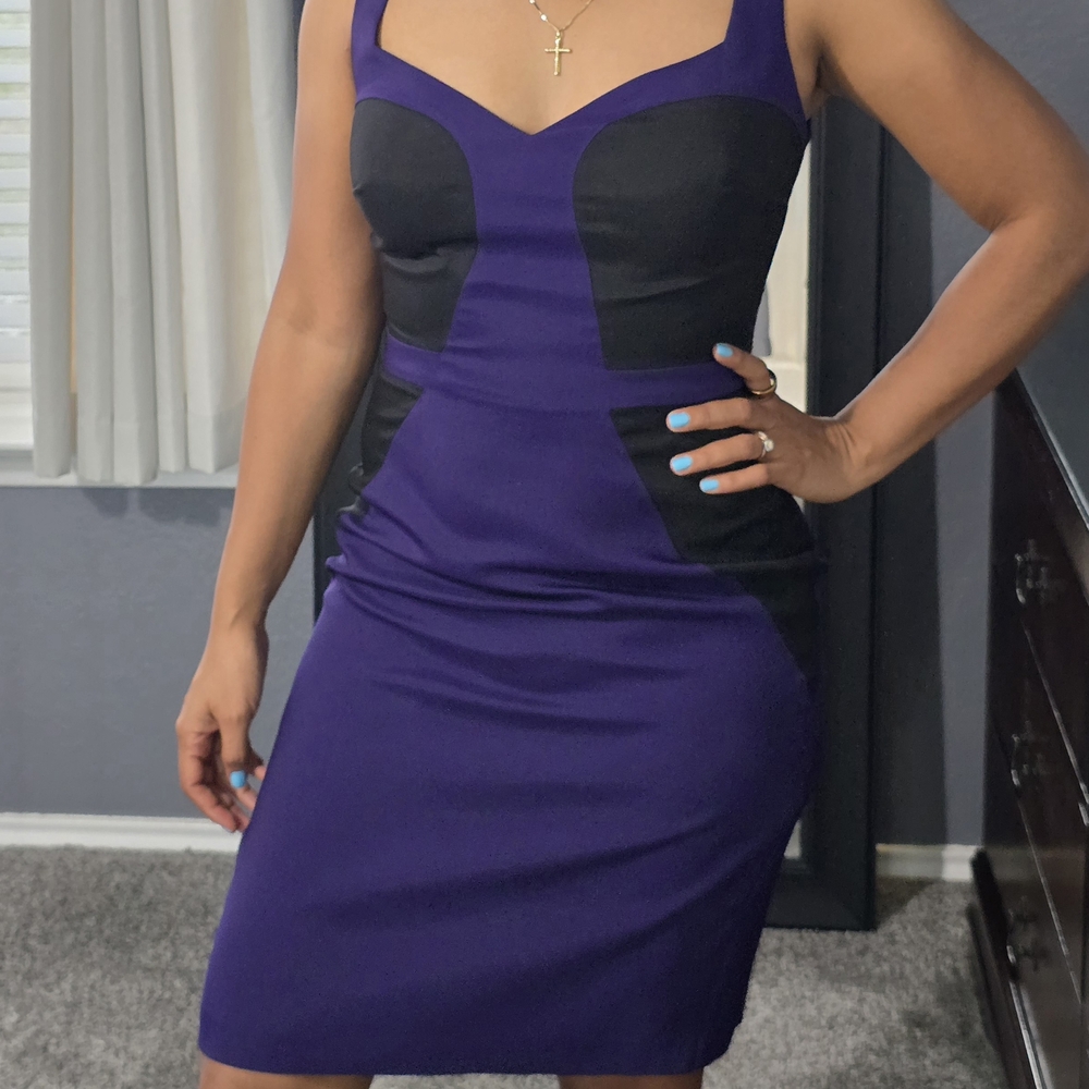 Elegant Cenia New York Purple and Black Women's Dress